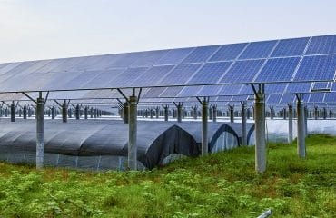 Vente d’une entreprise agricole dotée de panneaux photovoltaïques : quelle exonération fiscale ?