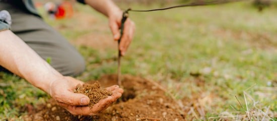 Viticulteurs : autorisations de plantations nouvelles pour 2022