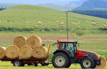 Suspension de l’interdiction du broyage et du fauchage des jachères