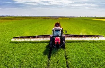 Toutes cultures : interdiction des dérogations pour les néonicotinoïdes !