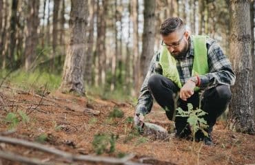 Experts forestiers : accès aux données cadastrales