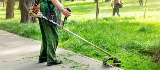 Insertion : des mesures en faveur des travailleurs handicapés