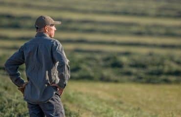 Bail rural : gare à la dissolution d’une société colocataire sans en informer le bailleur !