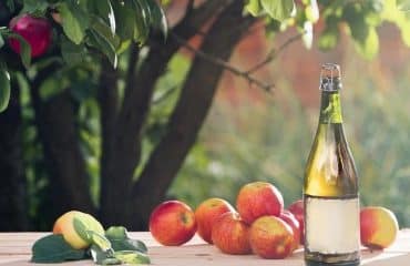 Arboriculteurs : aide à la plantation de pommiers à cidre