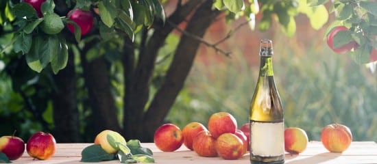 Arboriculteurs : aide à la plantation de pommiers à cidre