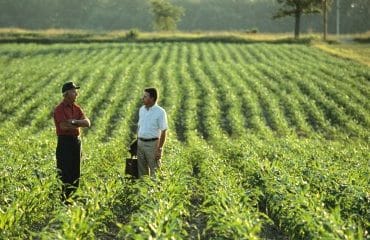 Quand la décision de préemption d’une Safer n’est pas justifiée