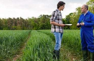 Quand un prêt à usage est requalifié en bail rural