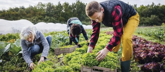 Exploitants agricoles : les nouveautés fiscales pour 2024