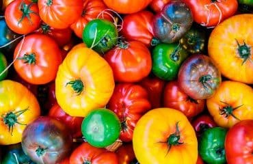 Culture des fruits et légumes : aide à l’achat d’agroéquipements