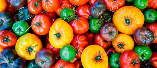 Culture des fruits et légumes : aide à l’achat d’agroéquipements