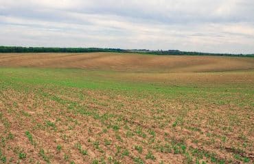 Le prix des terres agricoles et viticoles en 2023