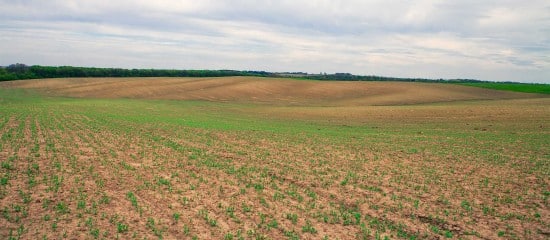 Le prix des terres agricoles et viticoles en 2023