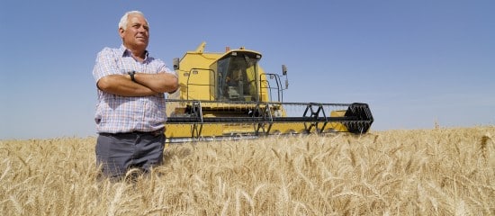 Bail rural : gare au recours à une entreprise de travaux agricoles !