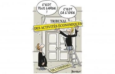 Tribunaux des activités économiques