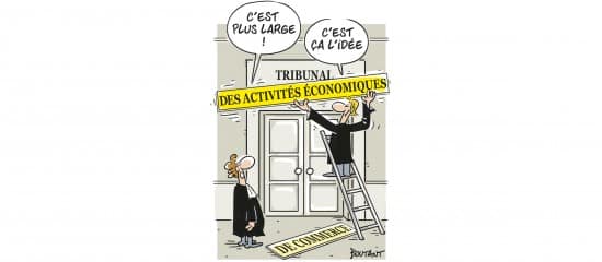 Tribunaux des activités économiques