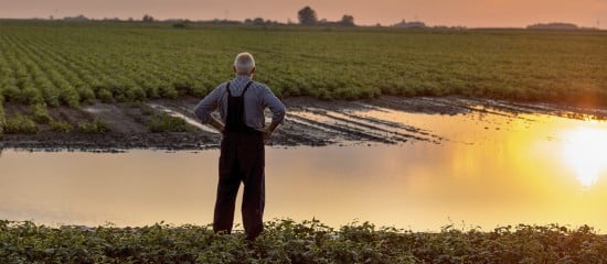 Des dégrèvements de taxe foncière pour les agriculteurs victimes d’une perte de récoltes