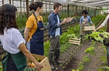 Les associations agricoles employeuses en 2023