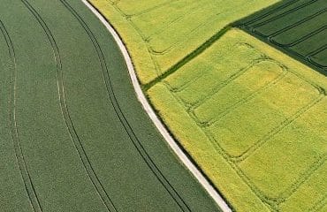 Échange de parcelles agricoles : les droits du locataire