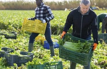 Insertion : revalorisation des montants des aides financières versées aux SIAE