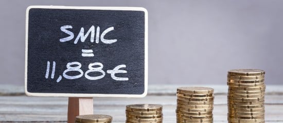 Le Smic à 11,88 € en 2025