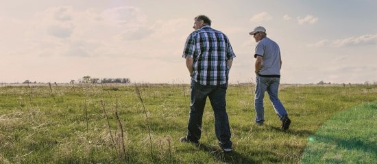 Conflit de baux ruraux dans le temps : quel locataire l’emporte ?