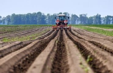 Mise à disposition d’une société de parcelles agricoles louées : il faut les exploiter !