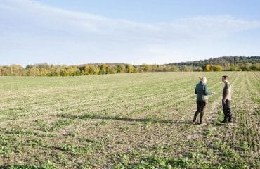 Préemption de la Safer sur une parcelle agricole : le droit du vendeur de se retirer