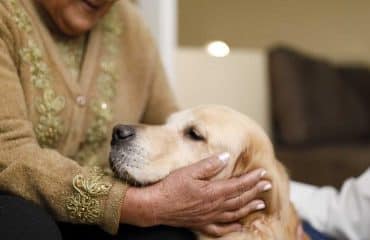 Médico-social : accueil d’animaux de compagnie dans les Ehpad