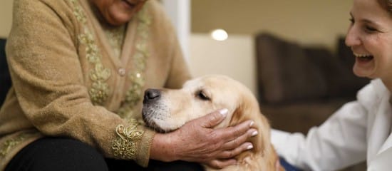 Médico-social : accueil d’animaux de compagnie dans les Ehpad